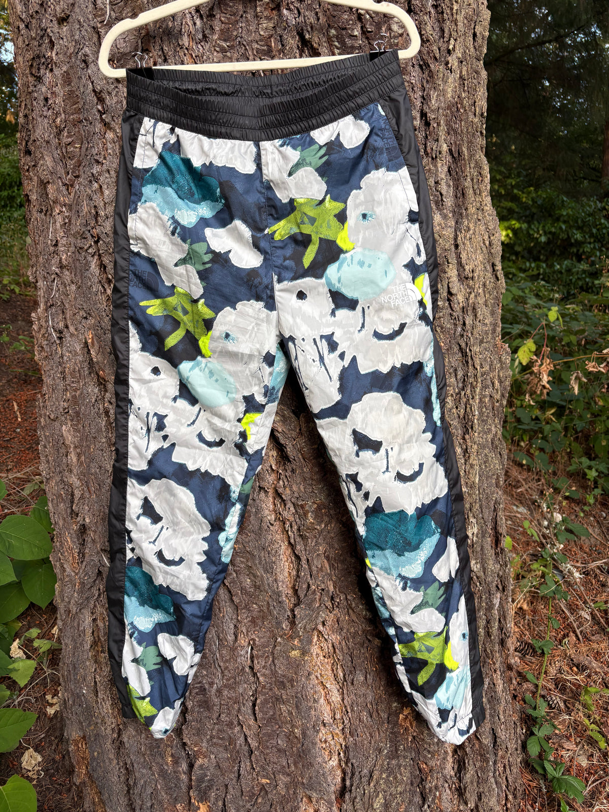 North Face Hydrenaline Pants 2000 (Floral Blue/Black, Women's M)
