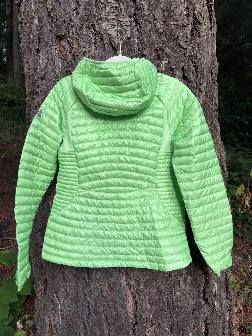 Eddie Bauer First Ascent MicroTherm® 2.0 Down Hooded Jacket (Lime Green, Women's M)