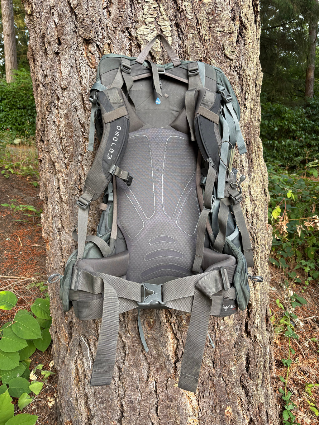 Osprey Xenith 88L Backpack (Dark Grey, Men's L)