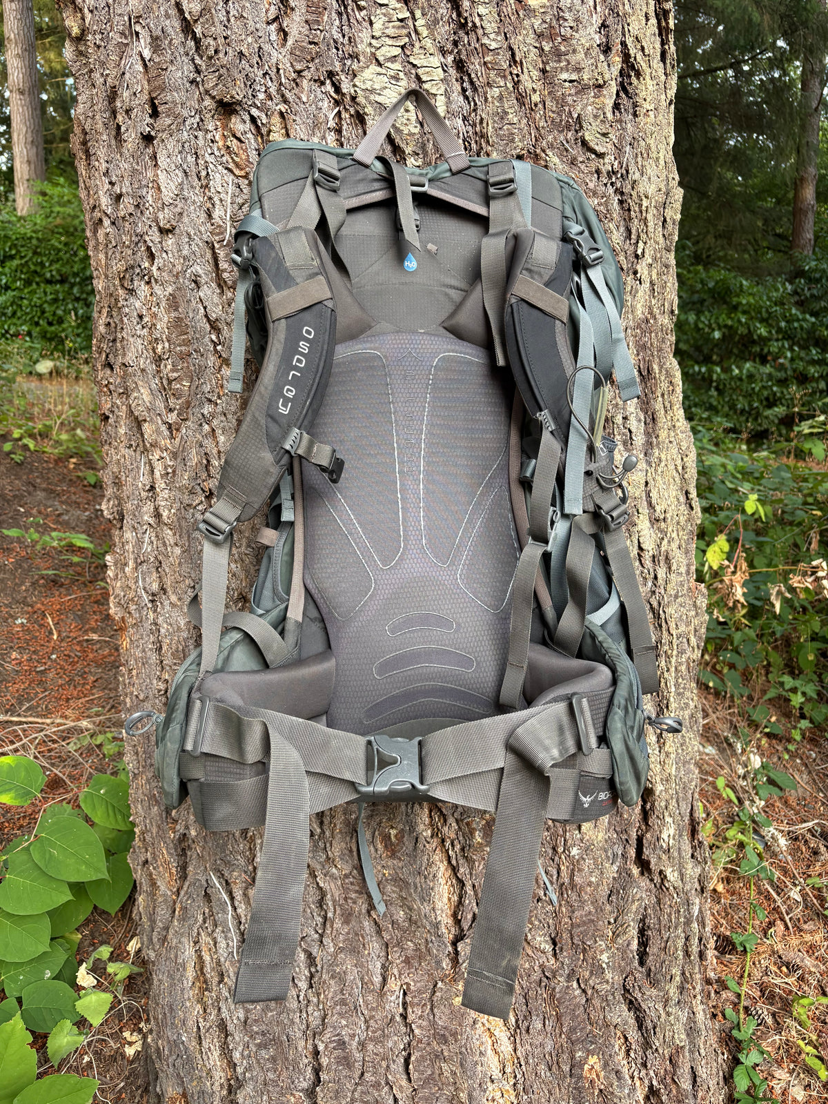 Osprey Xenith 88L Backpack (Dark Grey, Men's L)
