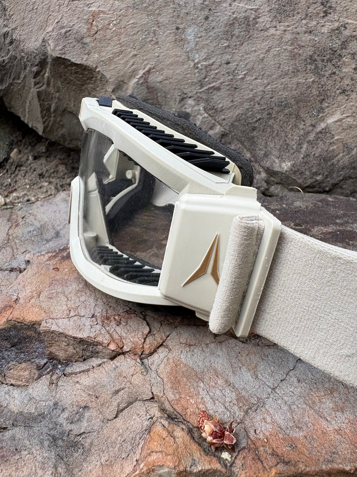 Anon Clear Lens Goggles (Cream, Unisex Onesize)