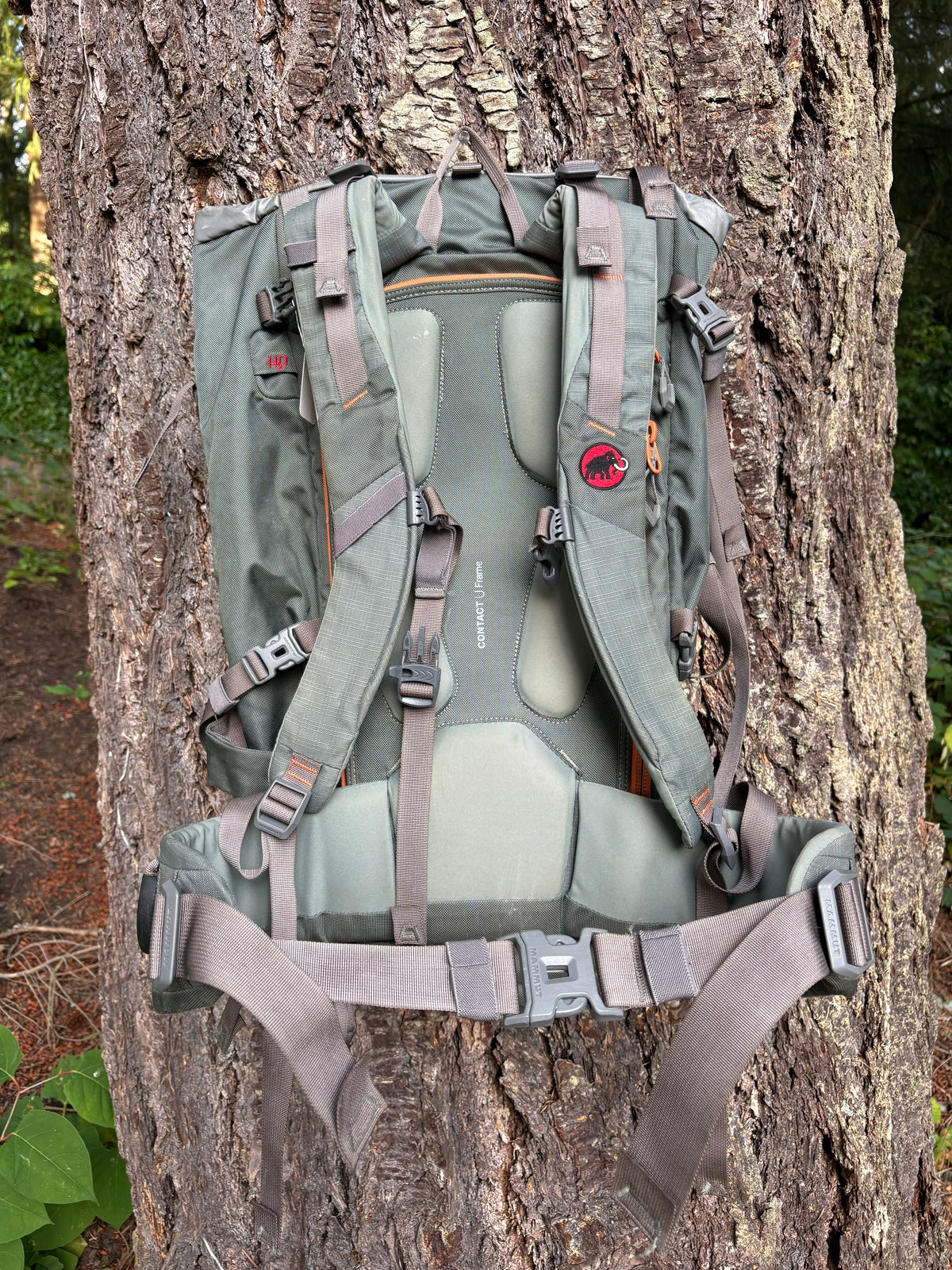Mammut Trion 35L Backpack (Dark Grey, Unisex Onesize)