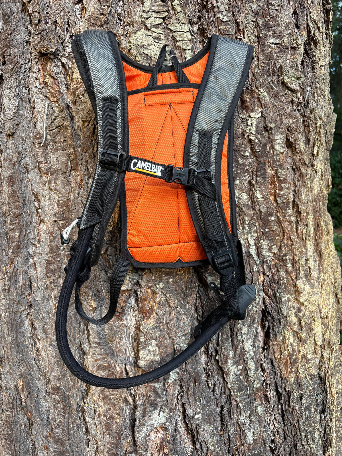 CamelBak 1.5L SnoBowl Water Hydration Pack (Dark Grey, Unisex Onesize)