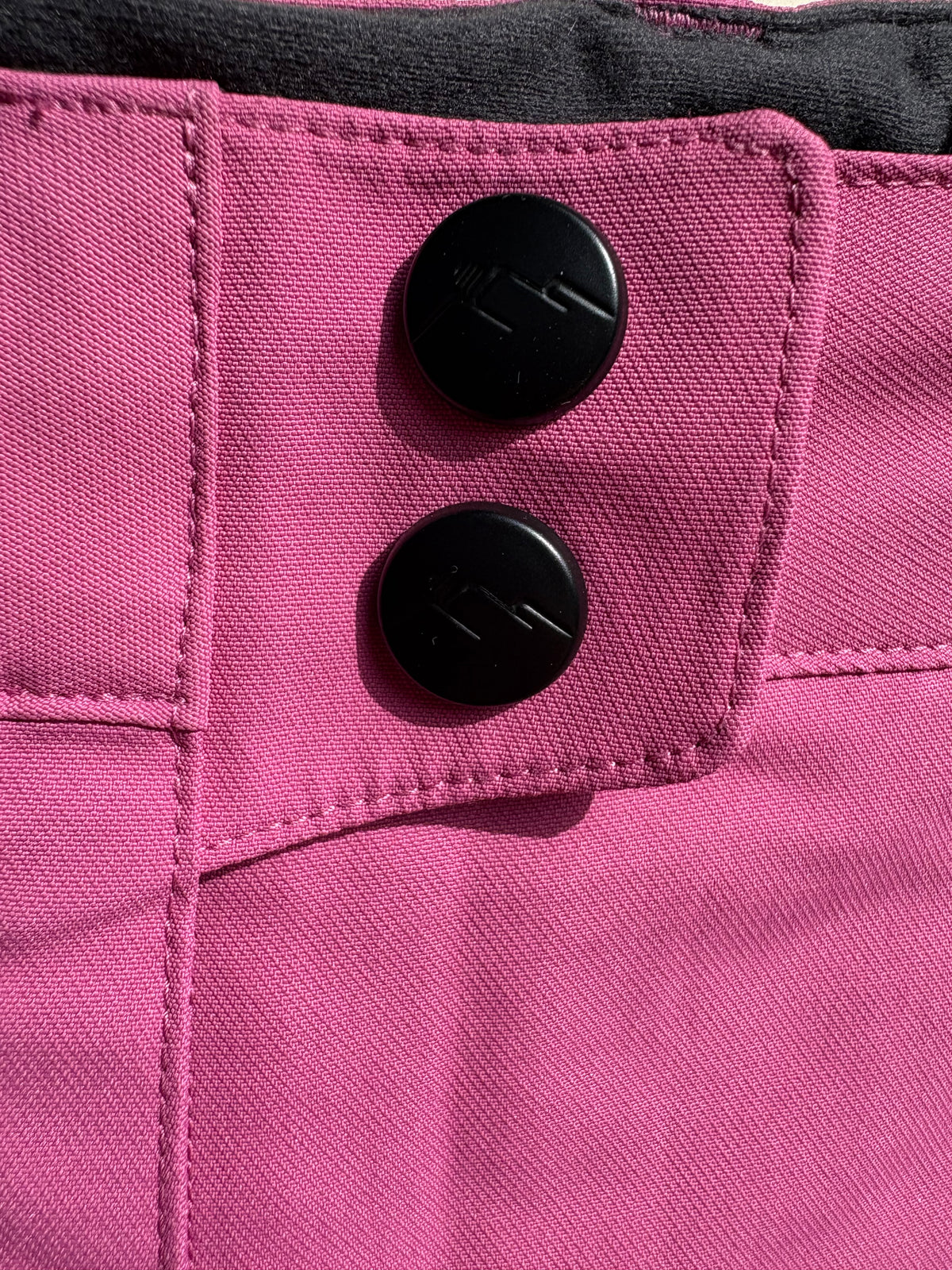 Passenger Hendrix Snow Pant (Pink, Women's S)