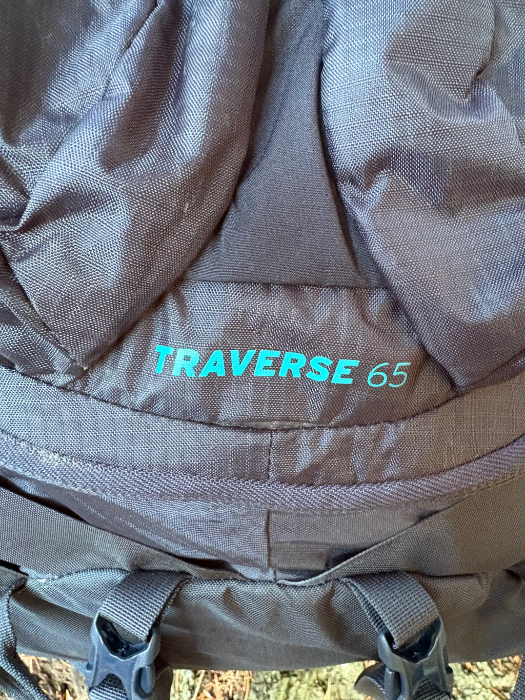 REI Traverse 65L (Dark Blue, Women's S)