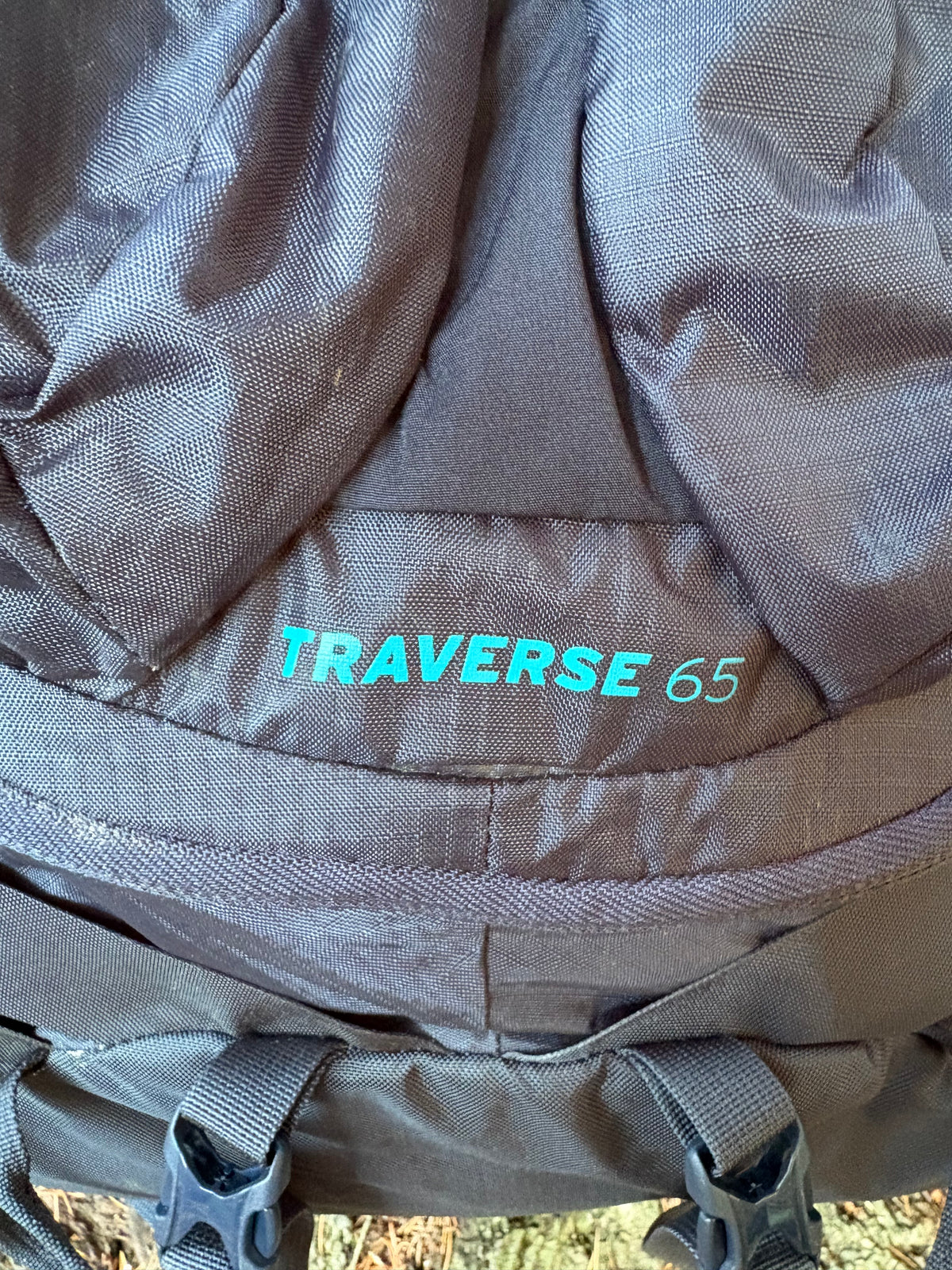 REI Traverse 65L (Dark Blue, Women's S)
