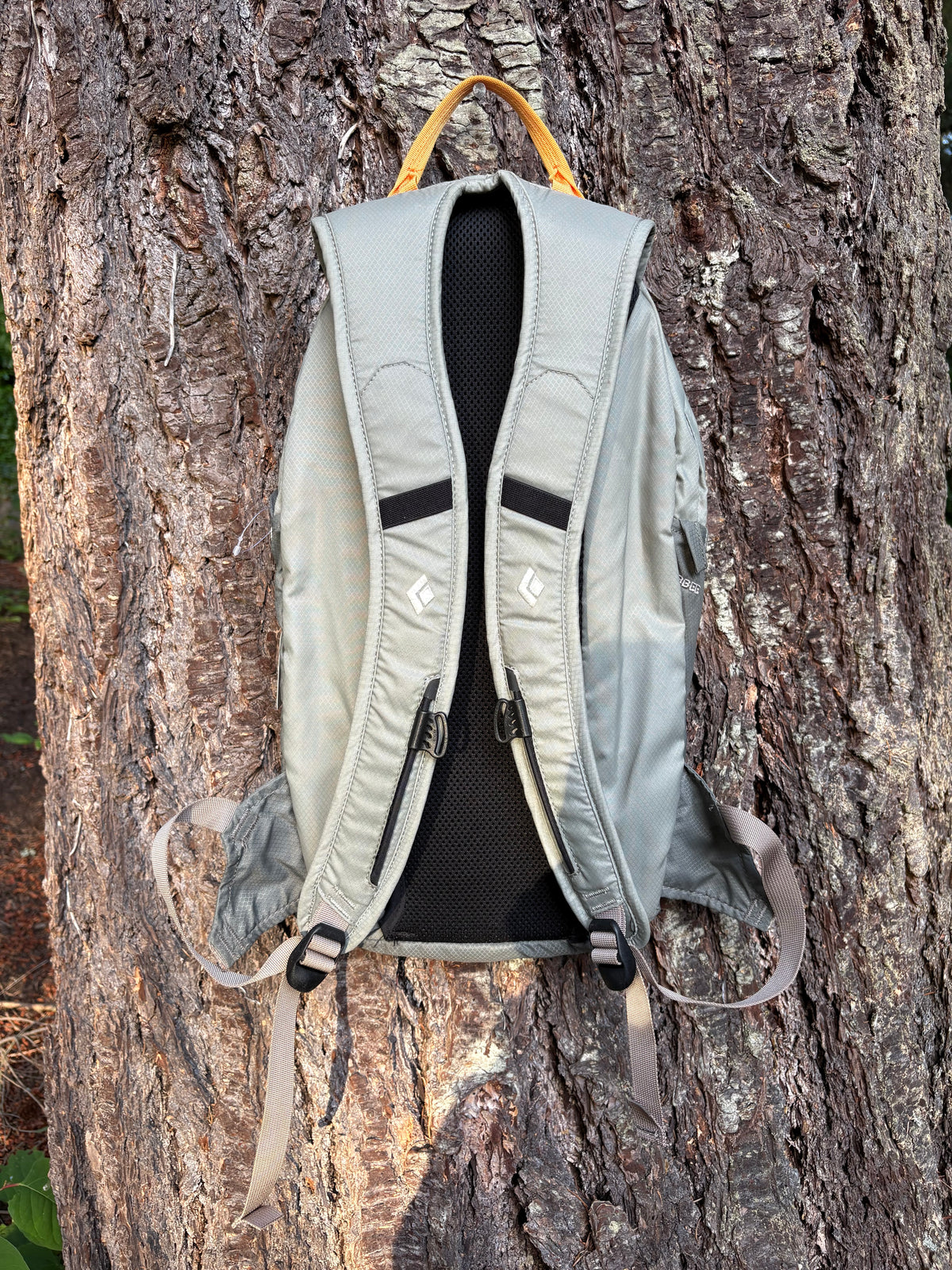 Black Diamond BBEE 11L Backpack (Grey, Unisex Onesize)