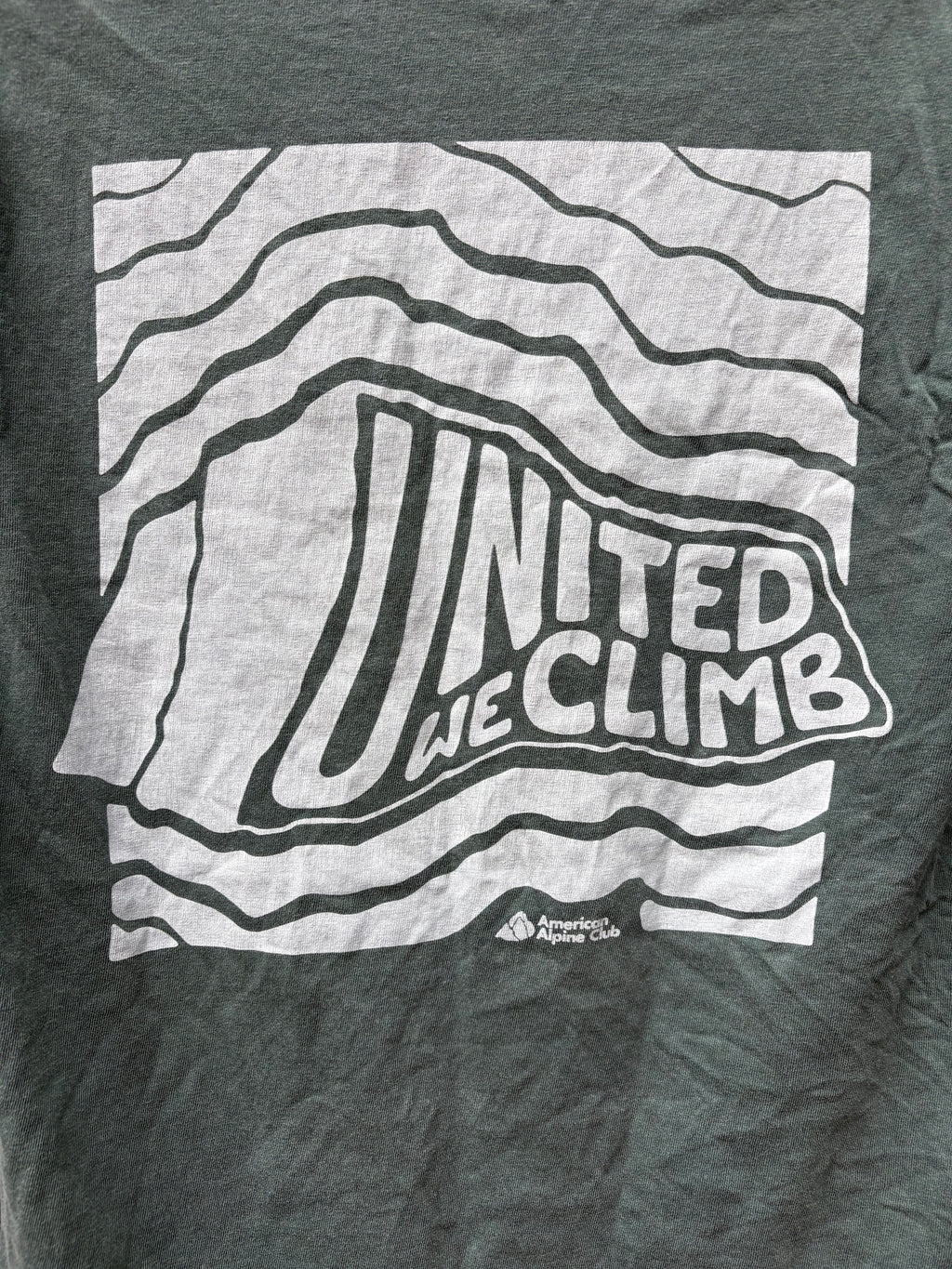 American Alpine Club T-Shirt (Forest Green, Unisex S)
