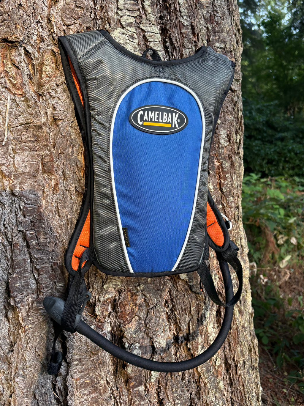 CamelBak 1.5L SnoBowl Water Hydration Pack (Dark Grey, Unisex Onesize)