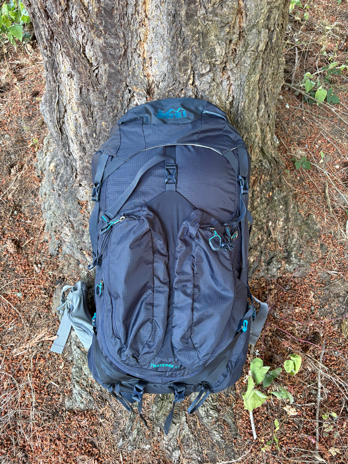 REI Traverse 65L (Dark Blue, Women's S)