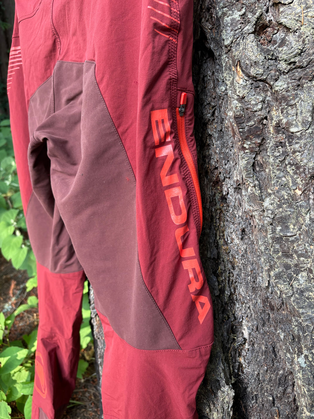 Endura SingleTrack Trouser II Bike Pants (Burgundy, Men's L)