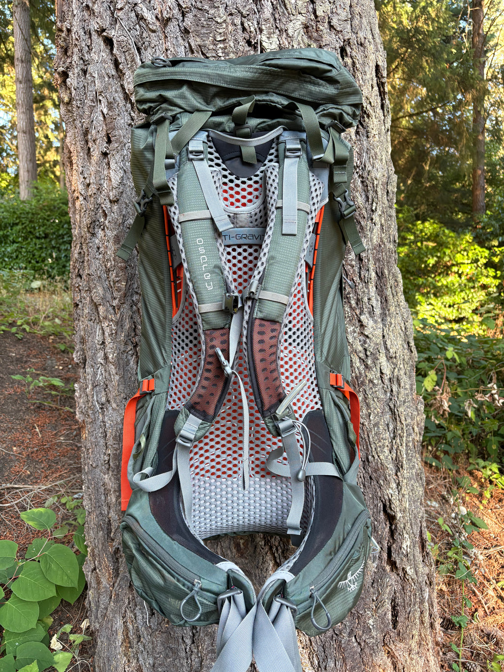 Osprey Atmos 65 AG Backpacking Pack (Dark Green, 65L, Men’s L)