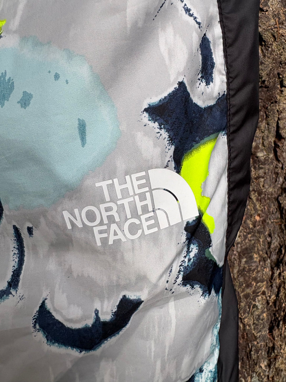 North Face Hydrenaline Pants 2000 (Floral Blue/Black, Women's M)