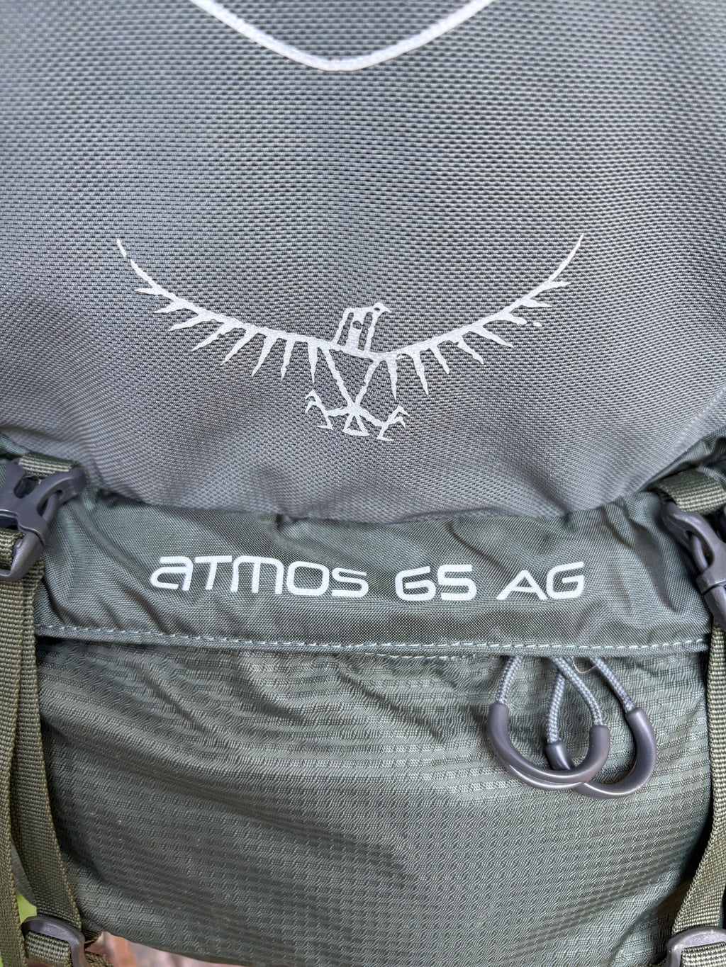 Osprey Atmos 65 AG Backpacking Pack (Dark Green, 65L, Men’s L)