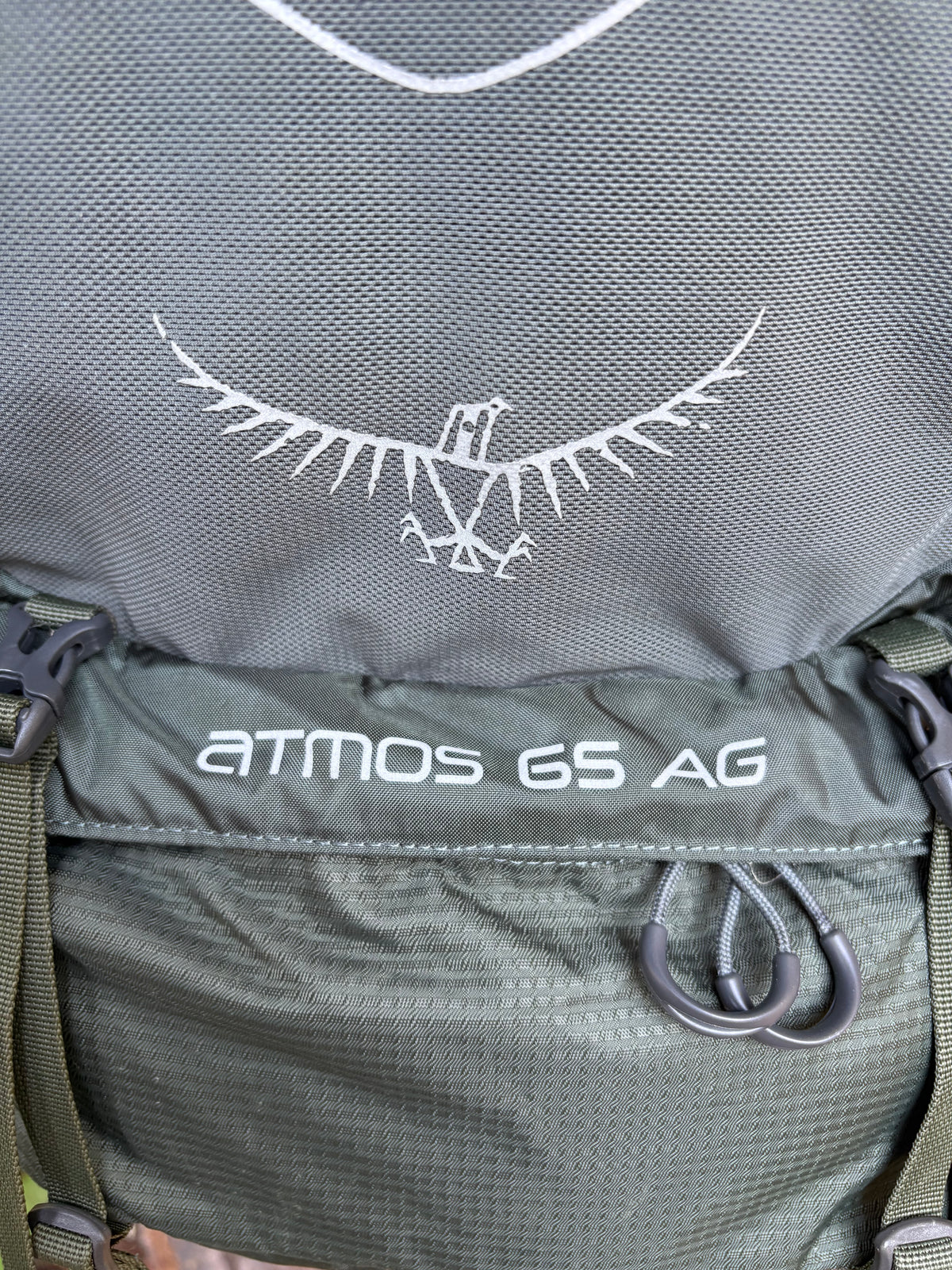 Osprey Atmos 65 AG Backpacking Pack (Dark Green, 65L, Men’s L)