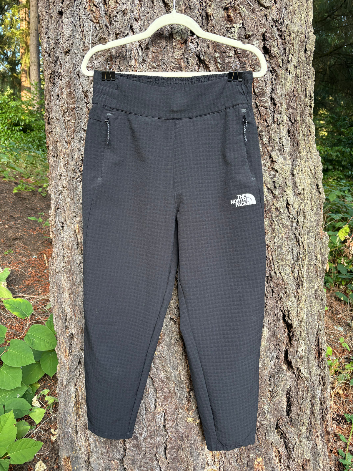 North Face Tekware Grid Fleece Pants (Black, Women's M)