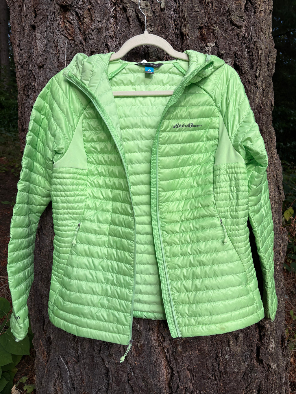 Eddie Bauer First Ascent MicroTherm® 2.0 Down Hooded Jacket (Lime Green, Women's M)