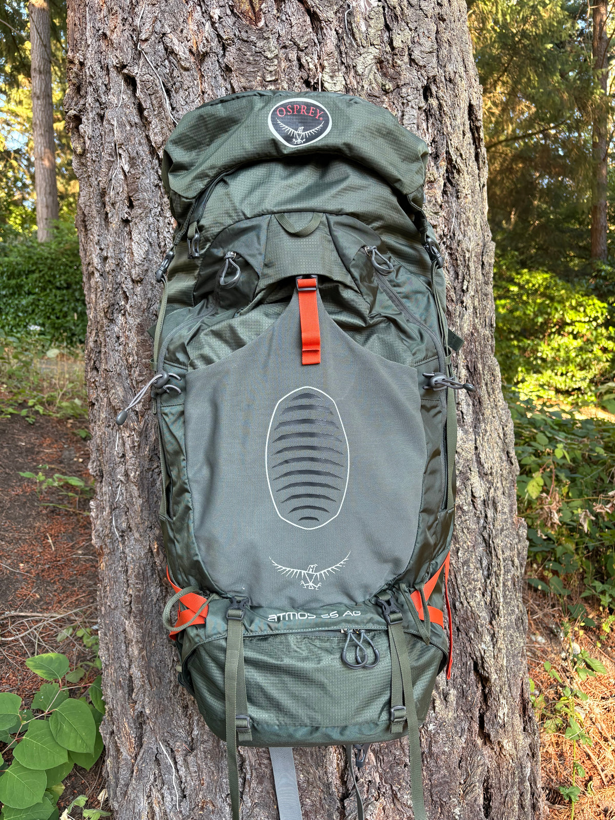 Osprey Atmos 65 AG Backpacking Pack (Dark Green, 65L, Men’s L)