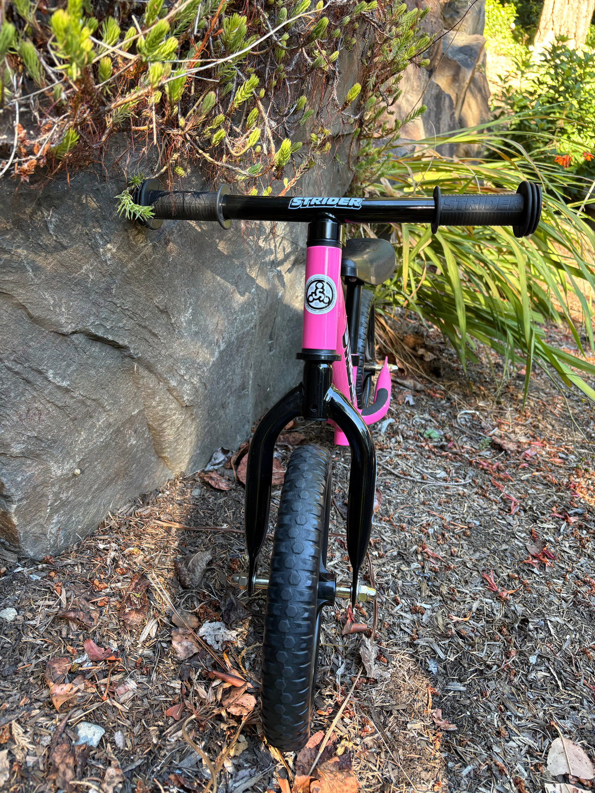 Strider 12 Sport Balance Bike (Pink, Kids 1-4)