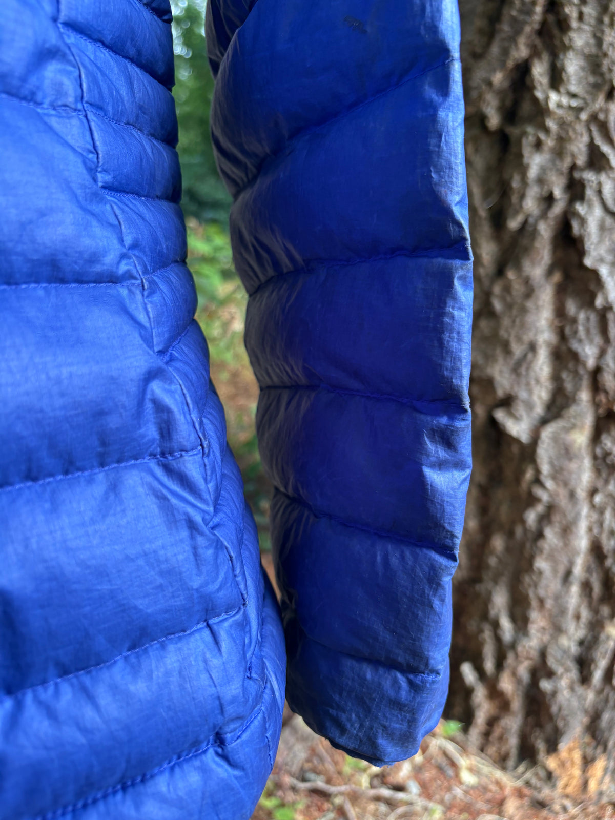 Patagonia Down Sweater (Indigo, Women's S)