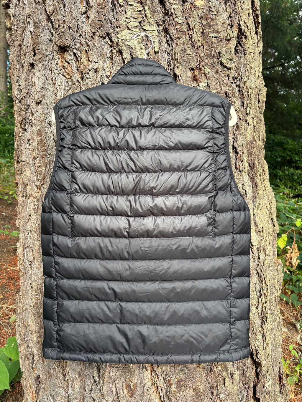 Patagonia Down Sweater Vest (Black, Men's M)
