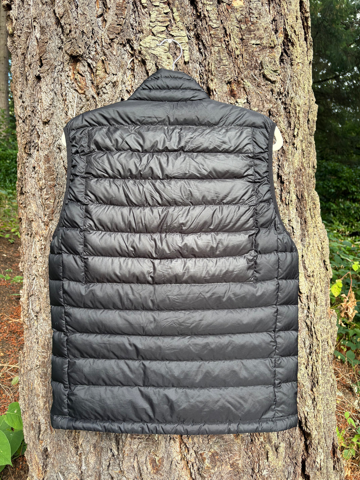 Patagonia Down Sweater Vest (Black, Men's M)
