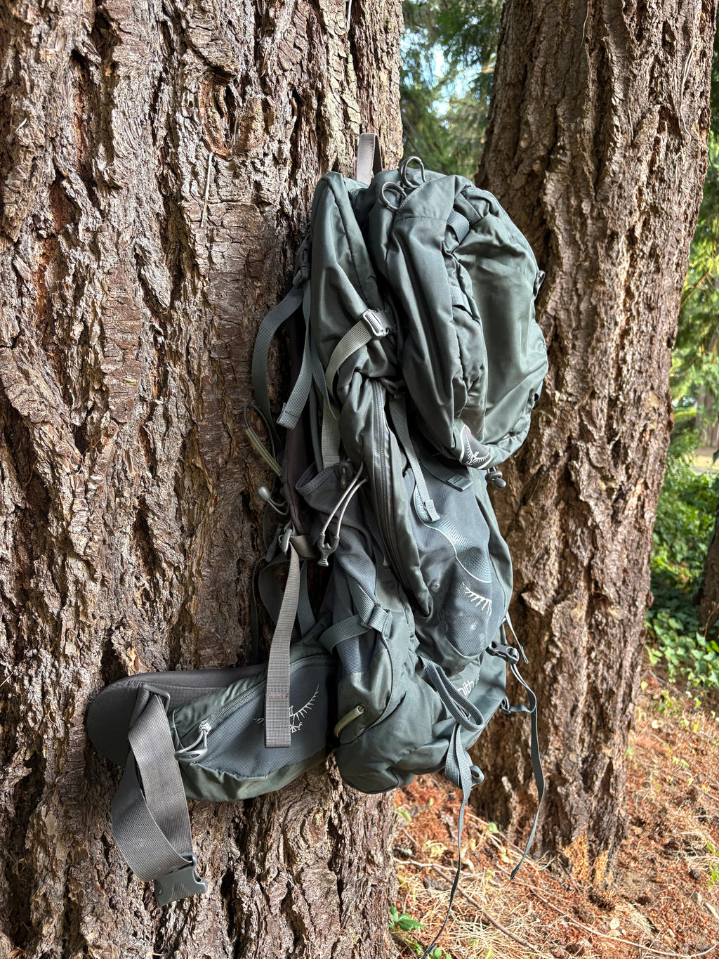 Osprey Xenith 88L Backpack (Dark Grey, Men's L)