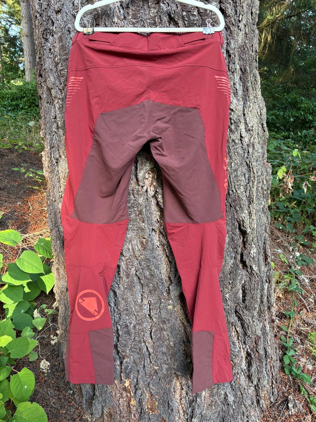 Endura SingleTrack Trouser II Bike Pants (Burgundy, Men's L)