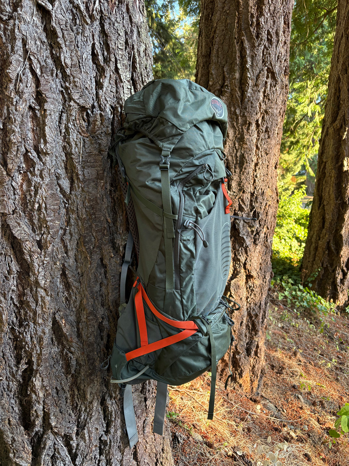 Osprey Atmos 65 AG Backpacking Pack (Dark Green, 65L, Men’s L)