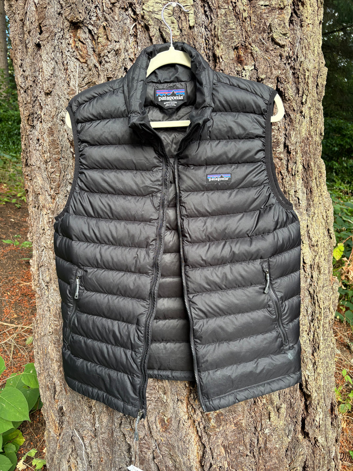 Patagonia Down Sweater Vest (Black, Men's M)