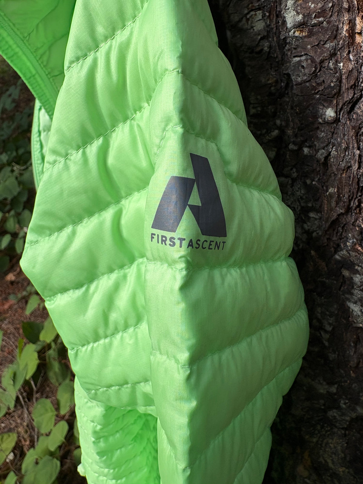 Eddie Bauer First Ascent MicroTherm® 2.0 Down Hooded Jacket (Lime Green, Women's M)