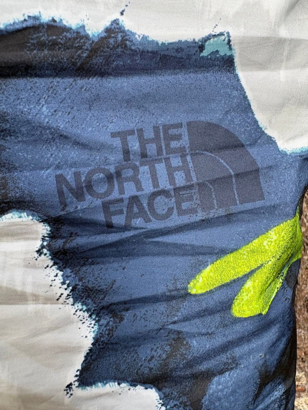North Face Hydrenaline Pants 2000 (Floral Blue/Black, Women's M)