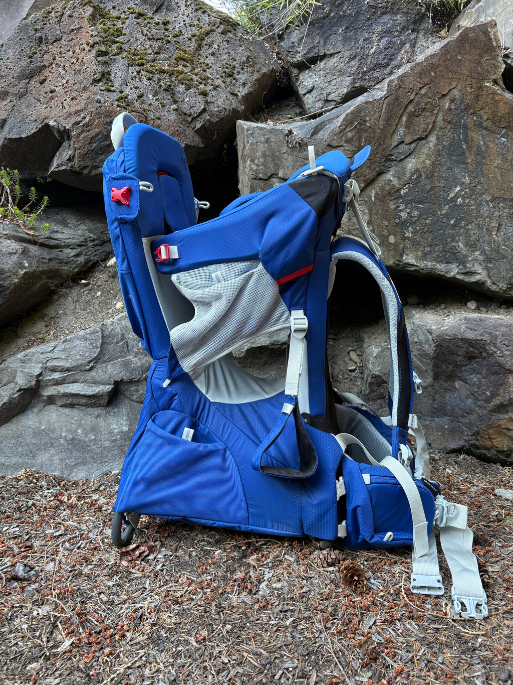Osprey Poco Plus Child Carrier (Blue, One Size)
