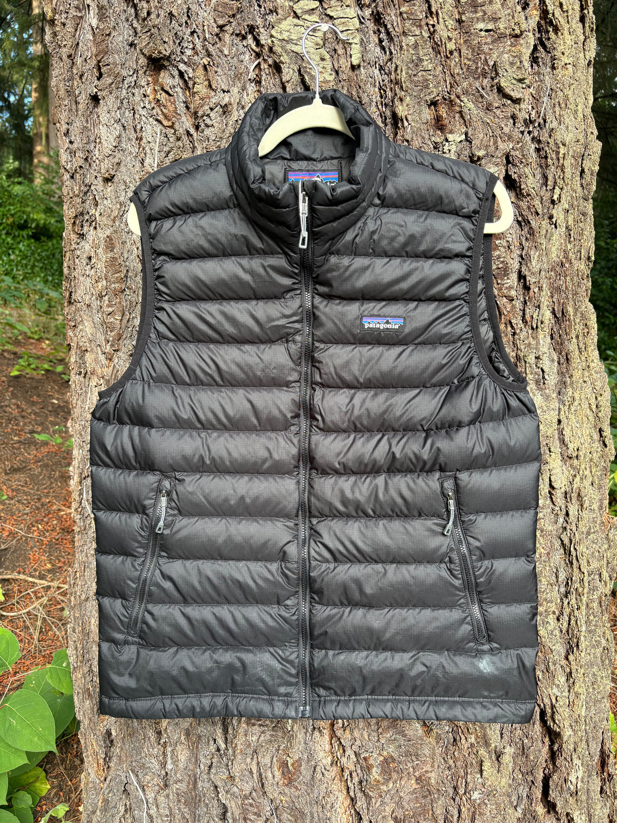 Patagonia Down Sweater Vest (Black, Men's M)