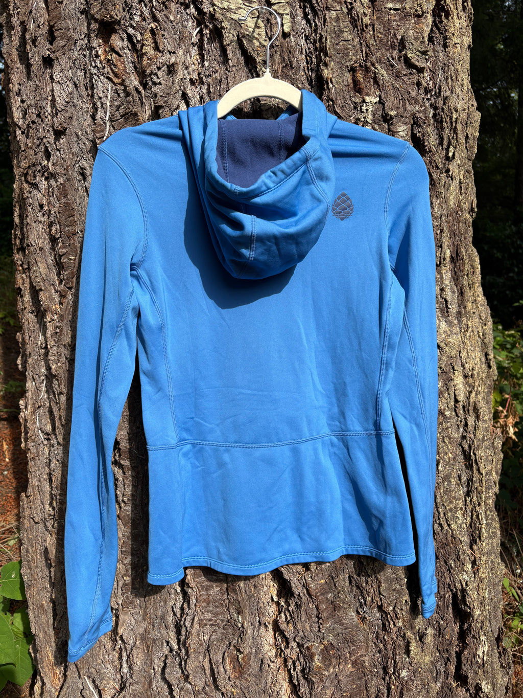 Stio Midweight Hoodie (Blue, Women's XS)