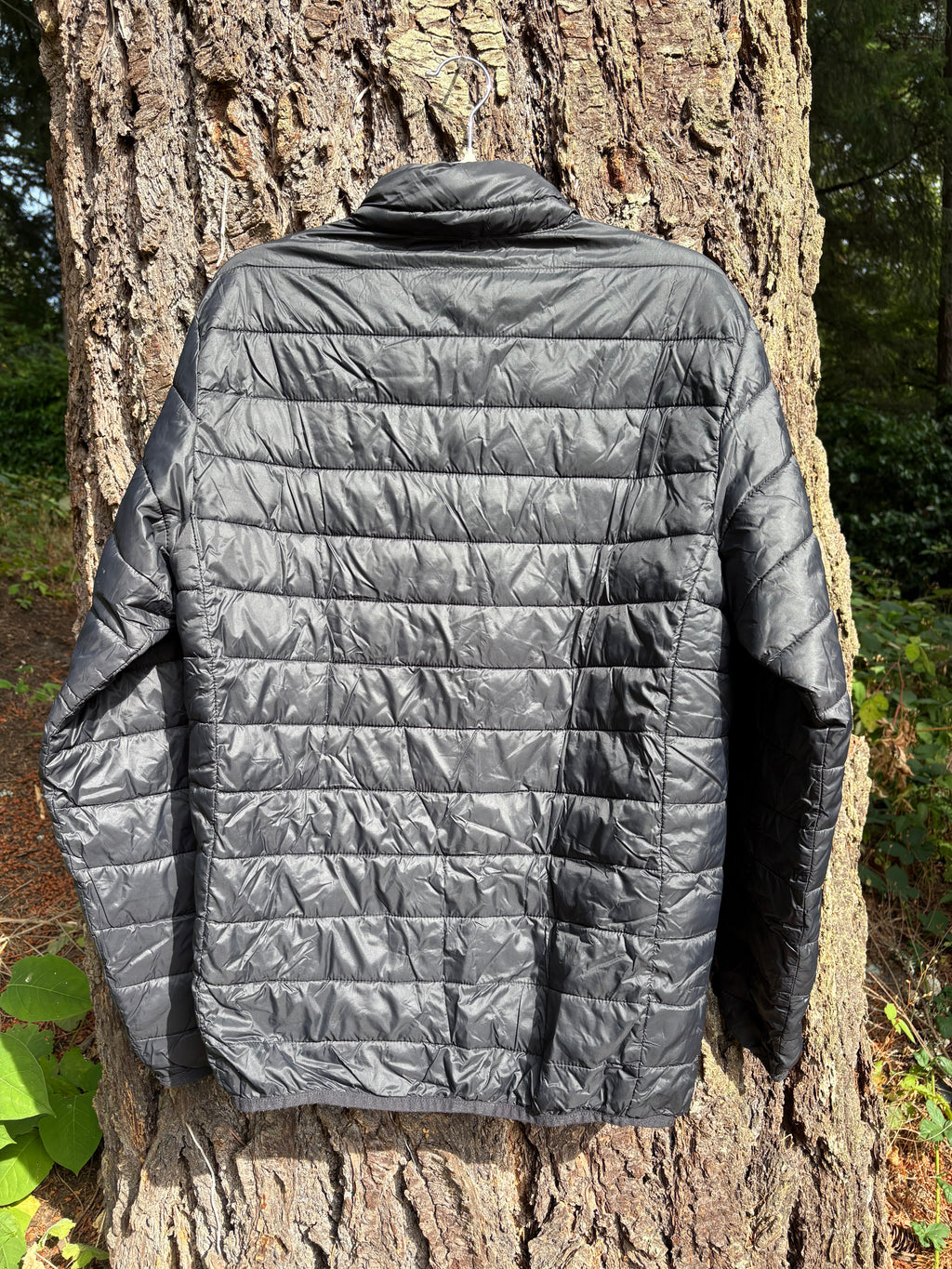 Salewa Puffy Jacket (Black, Men's S)