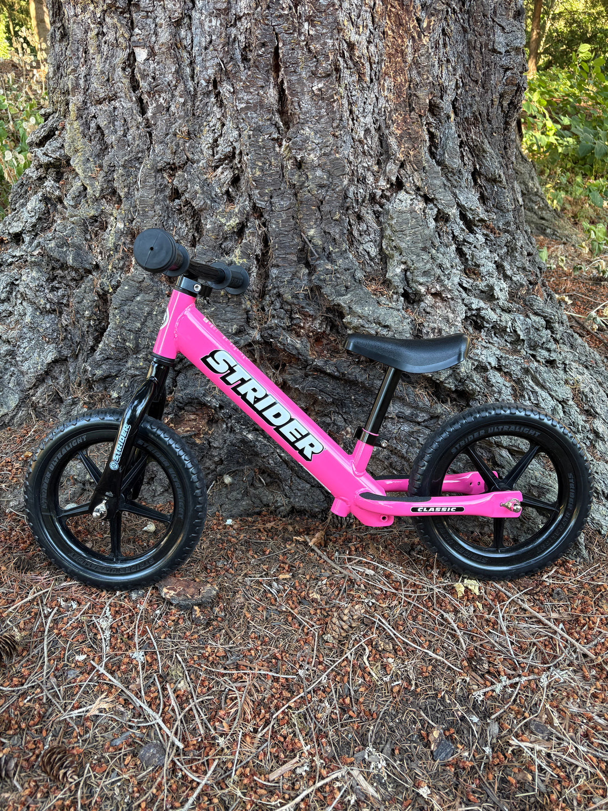 Strider 12 Sport Balance Bike (Pink, Kids 1-4)
