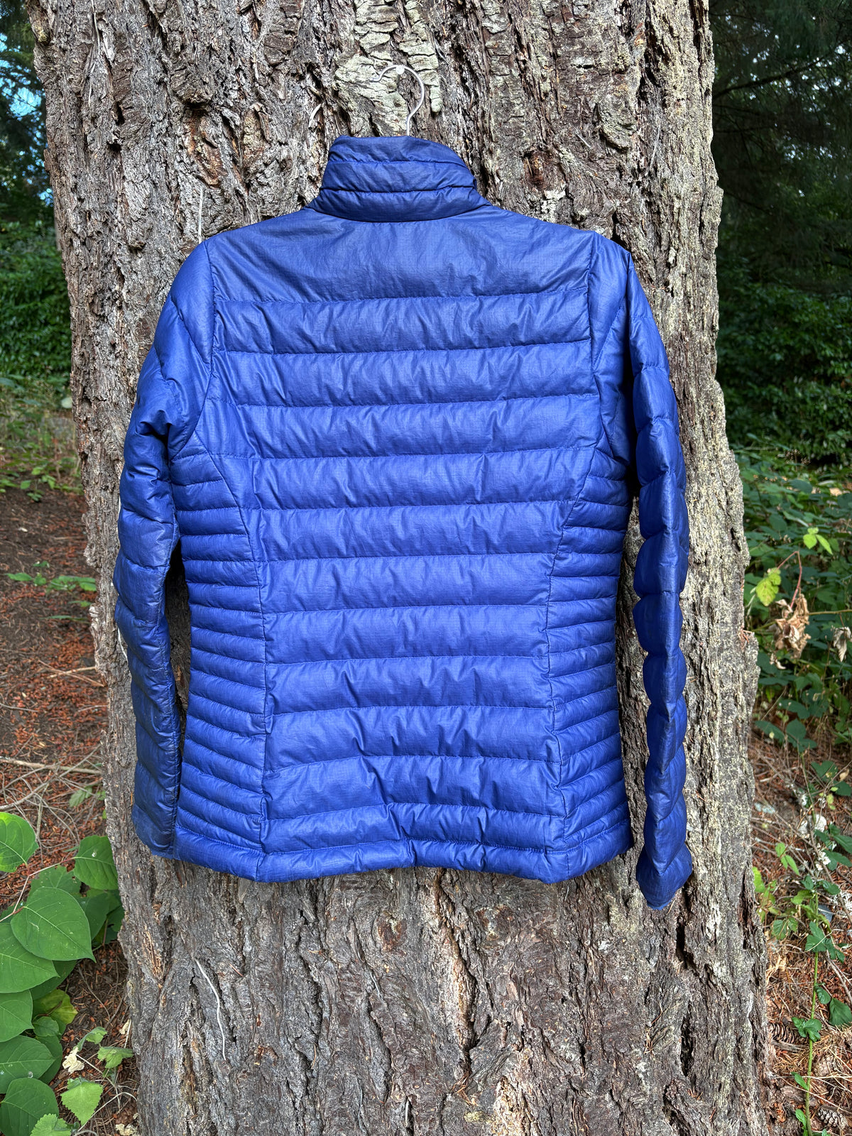 Patagonia Down Sweater (Indigo, Women's S)