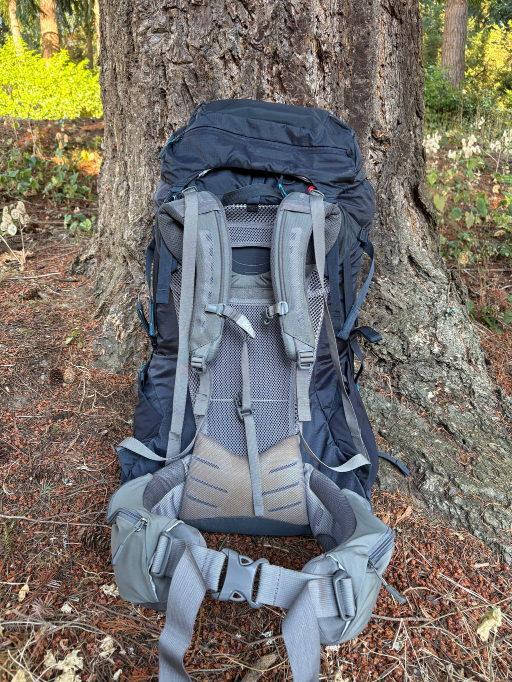 REI Traverse 65L (Dark Blue, Women's S)