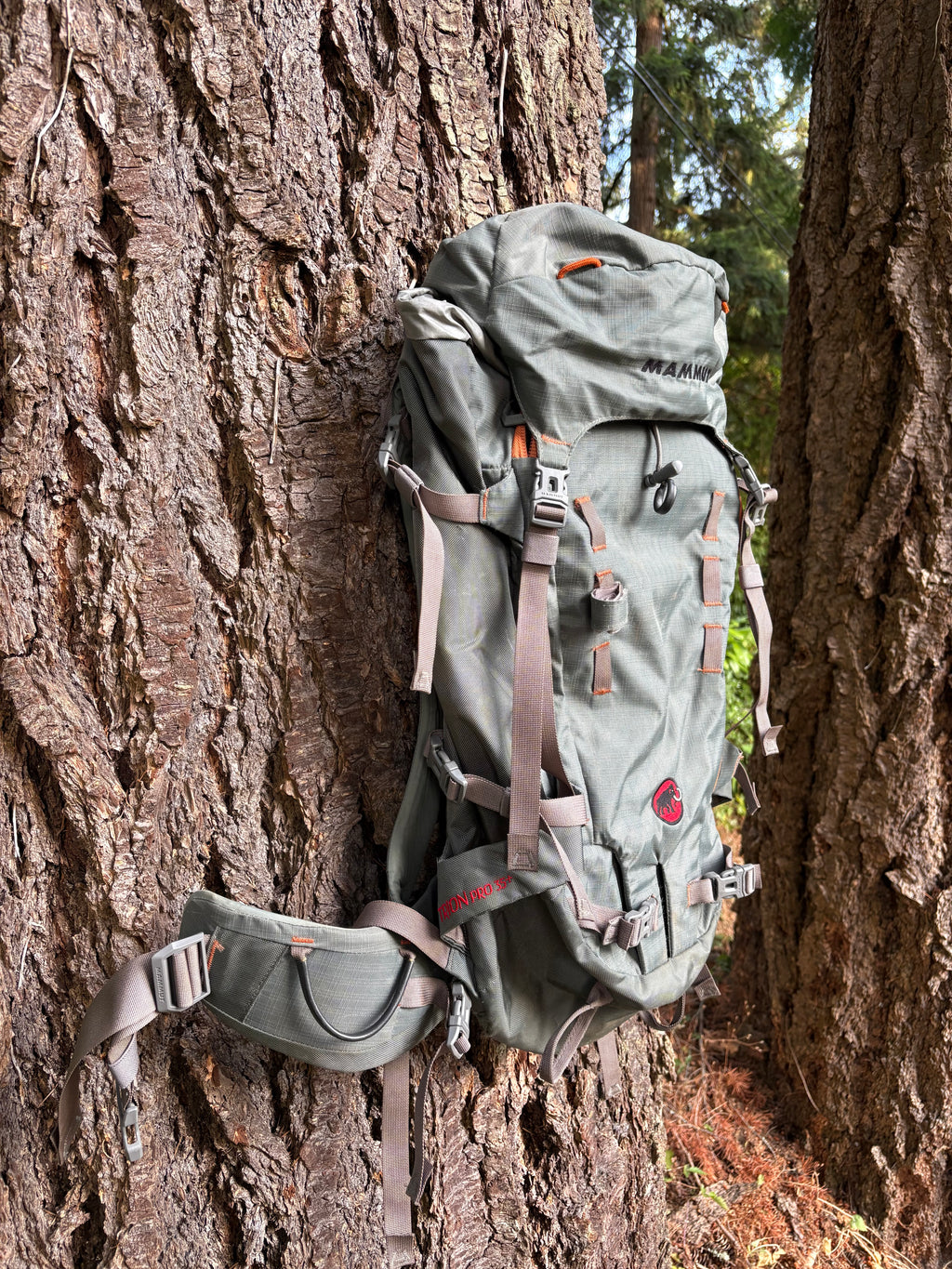 Mammut Trion 35L Backpack (Dark Grey, Unisex Onesize)