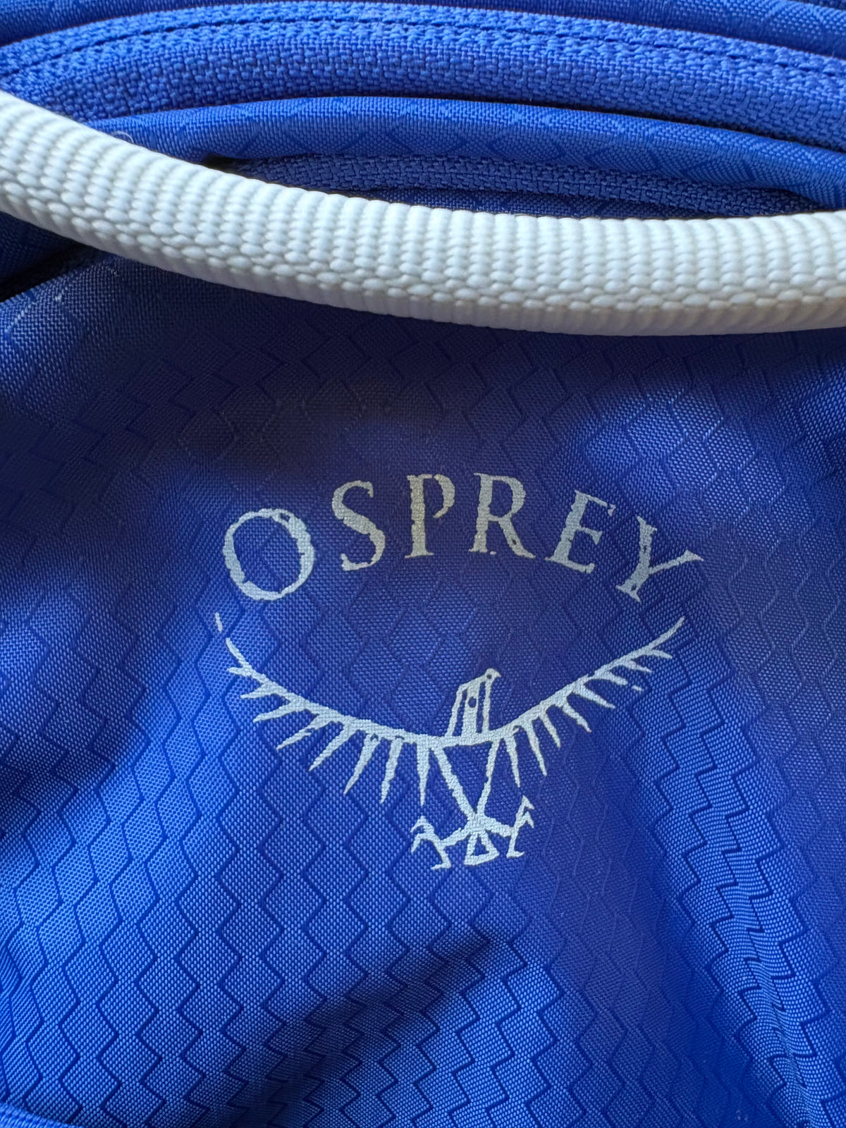 Osprey Poco Plus Child Carrier (Blue, One Size)