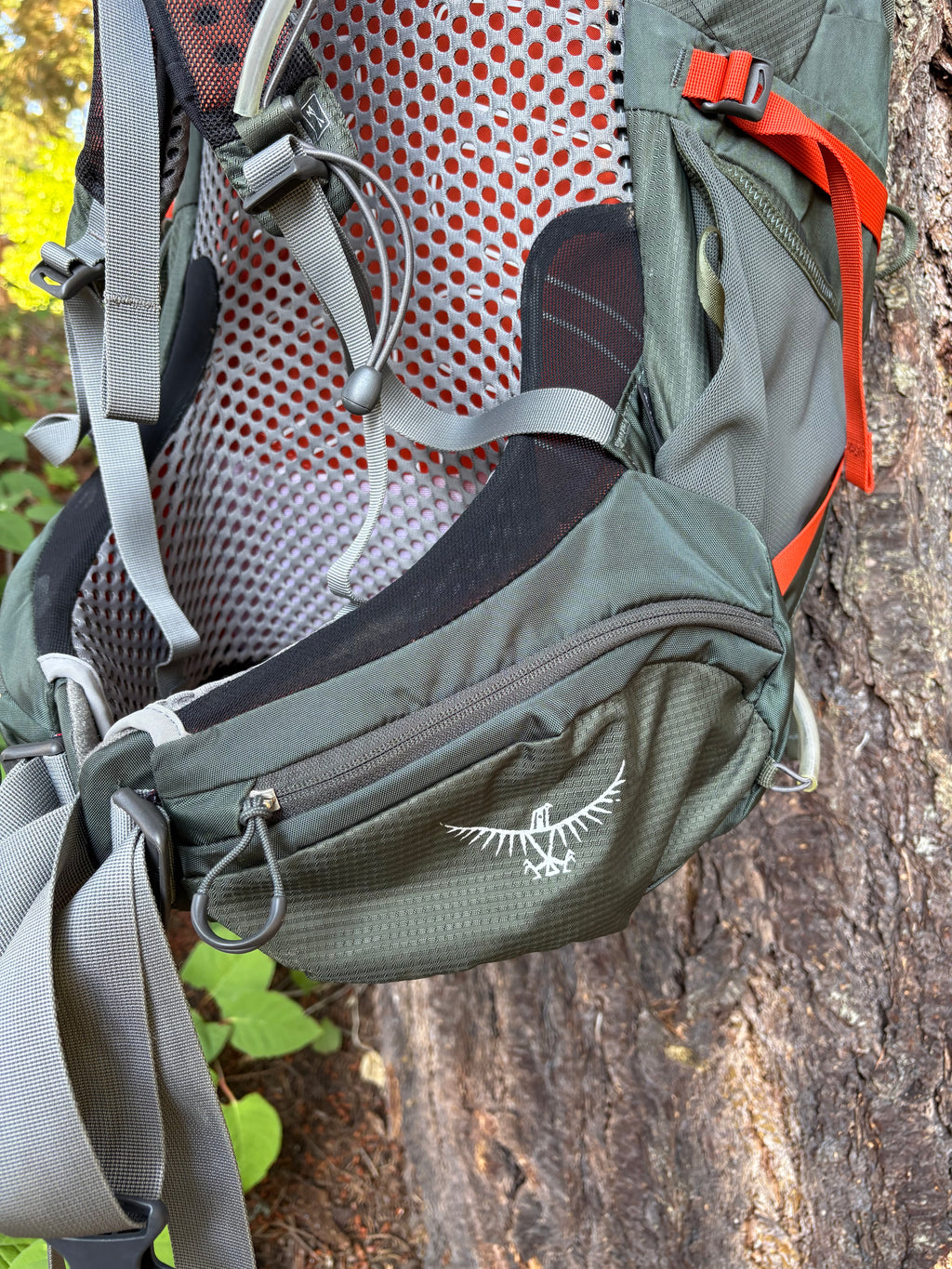Osprey Atmos 65 AG Backpacking Pack (Dark Green, 65L, Men’s L)