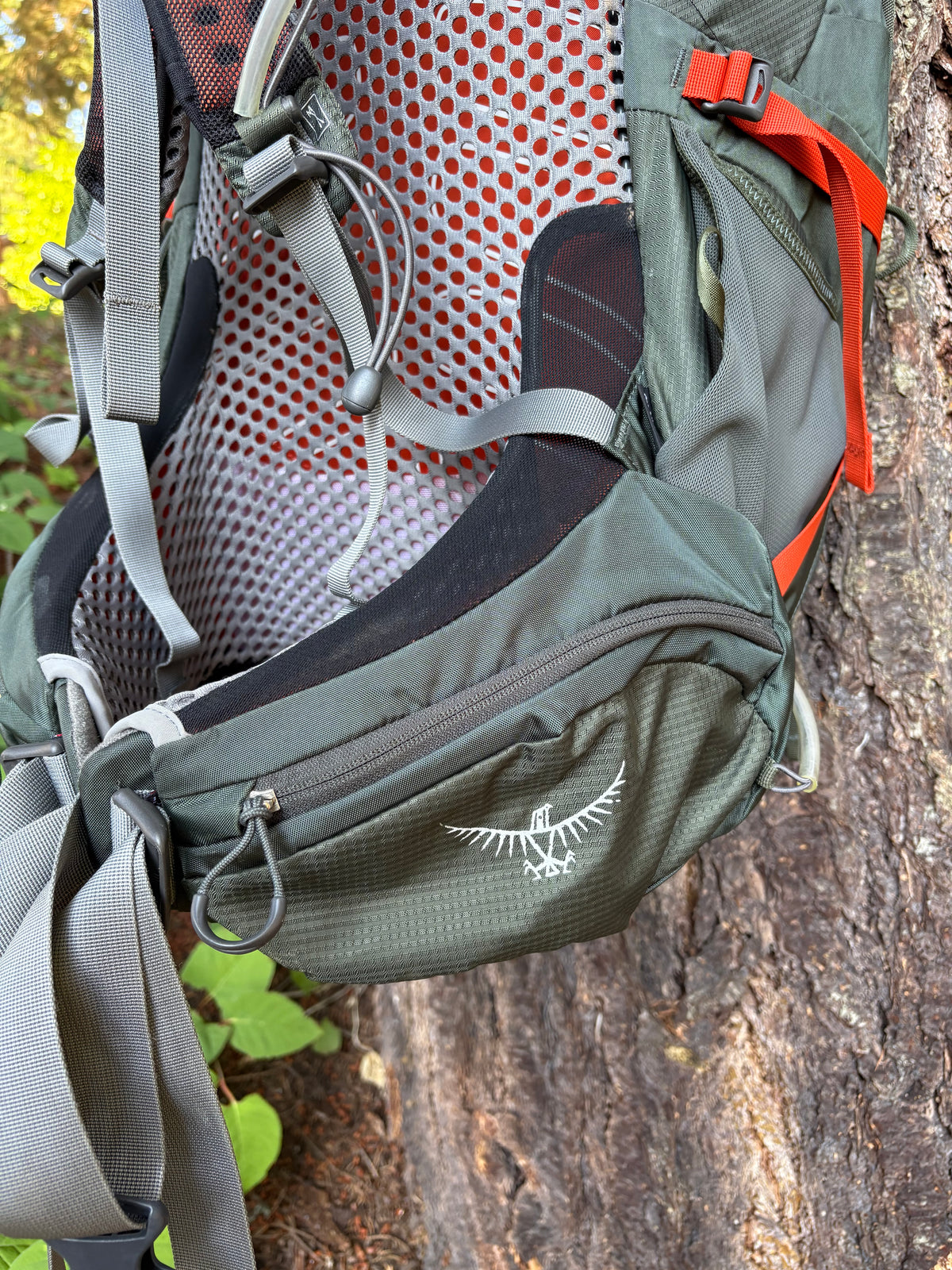 Osprey Atmos 65 AG Backpacking Pack (Dark Green, 65L, Men’s L)