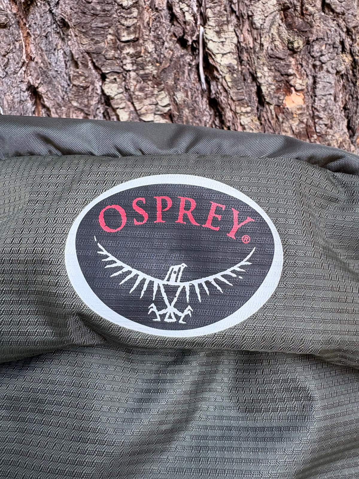 Osprey Atmos 65 AG Backpacking Pack (Dark Green, 65L, Men’s L)