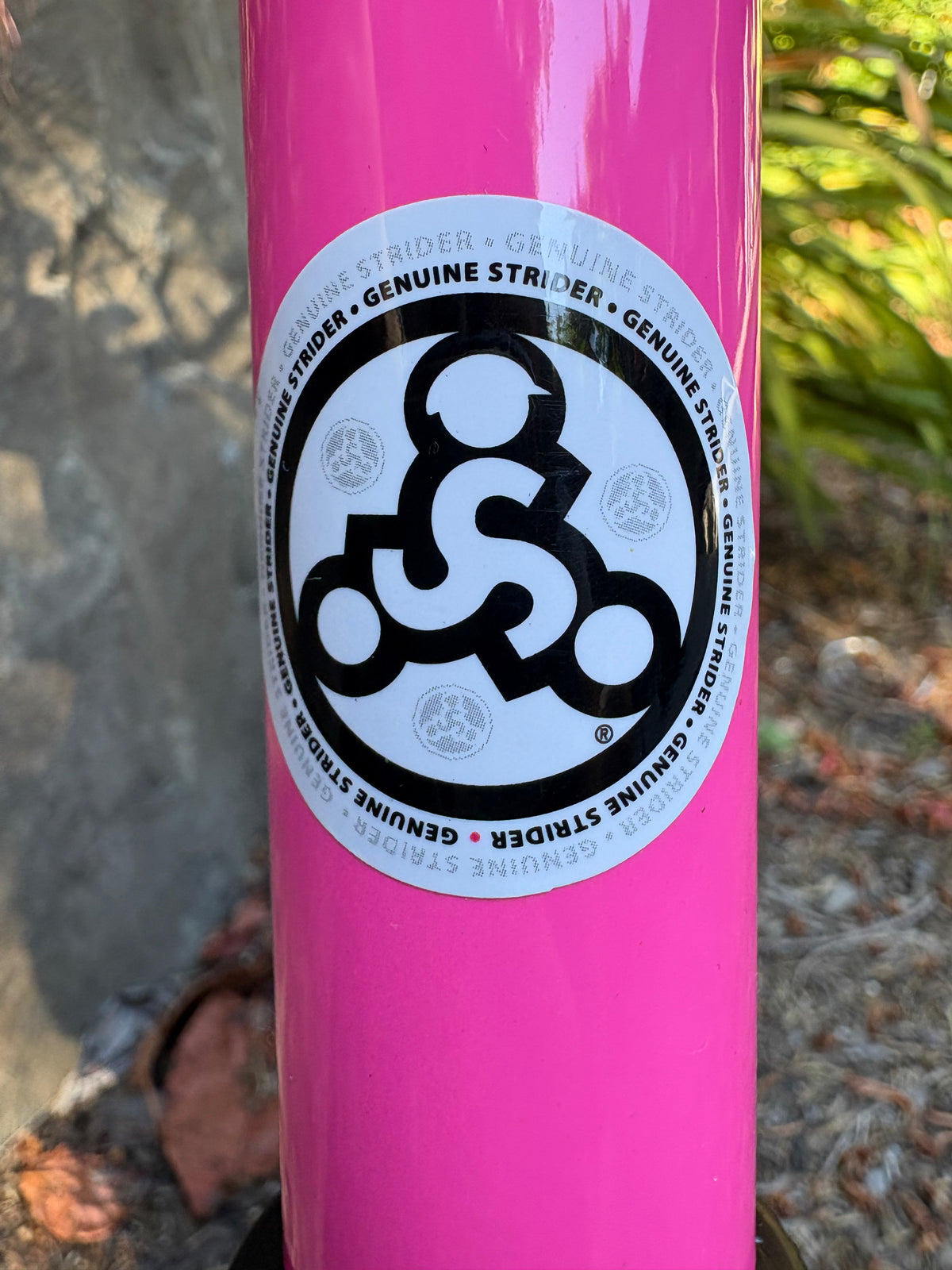 Strider 12 Sport Balance Bike (Pink, Kids 1-4)