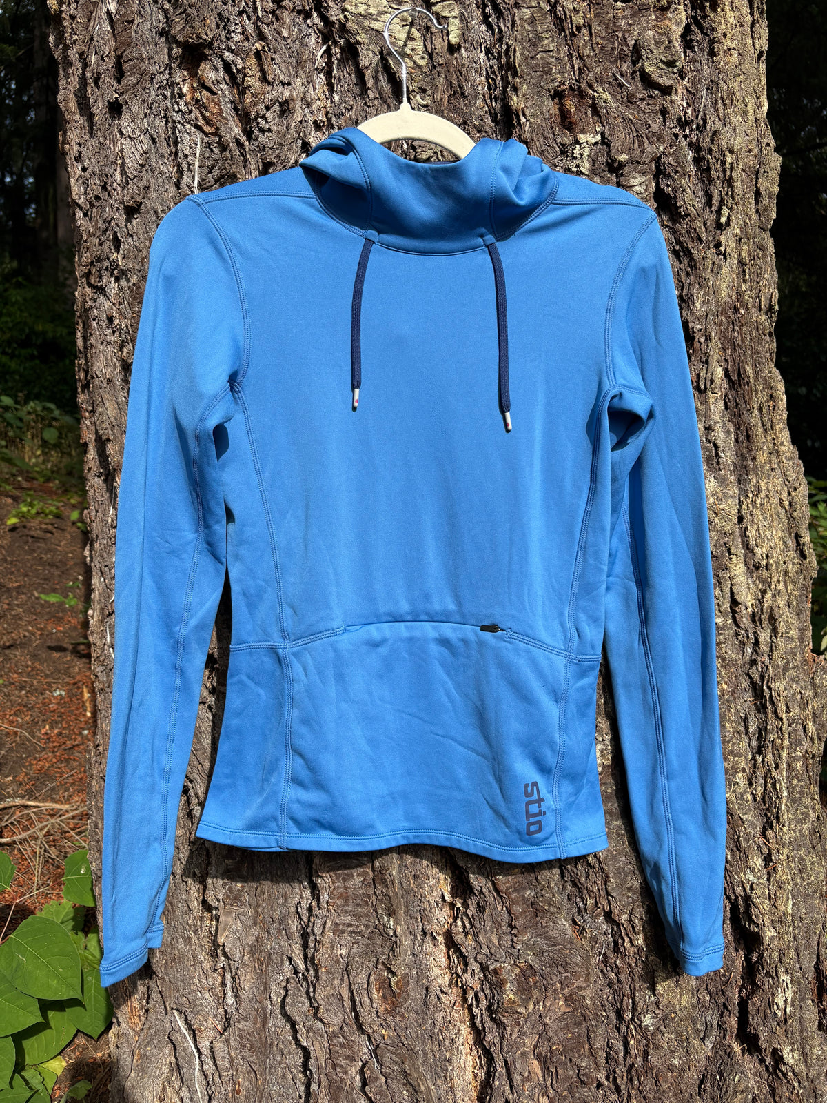 Stio Midweight Hoodie (Blue, Women's XS)