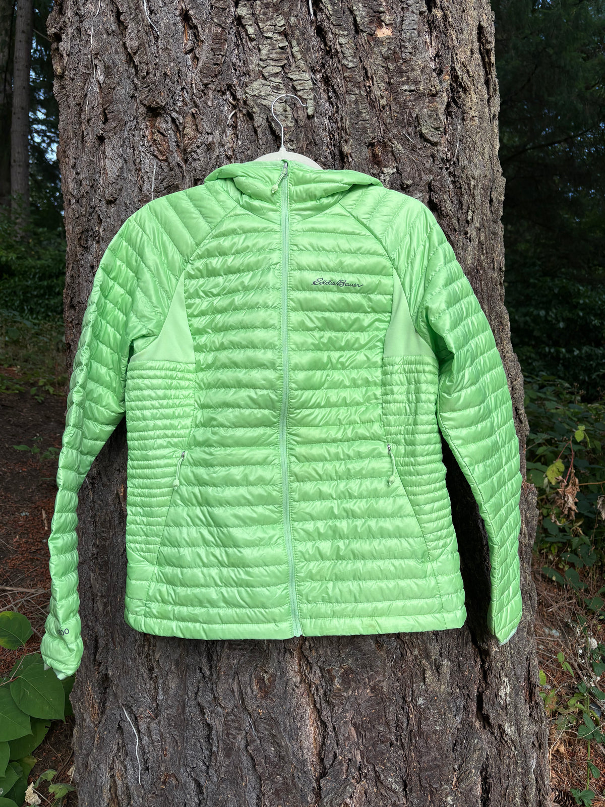 Eddie Bauer First Ascent MicroTherm® 2.0 Down Hooded Jacket (Lime Green, Women's M)