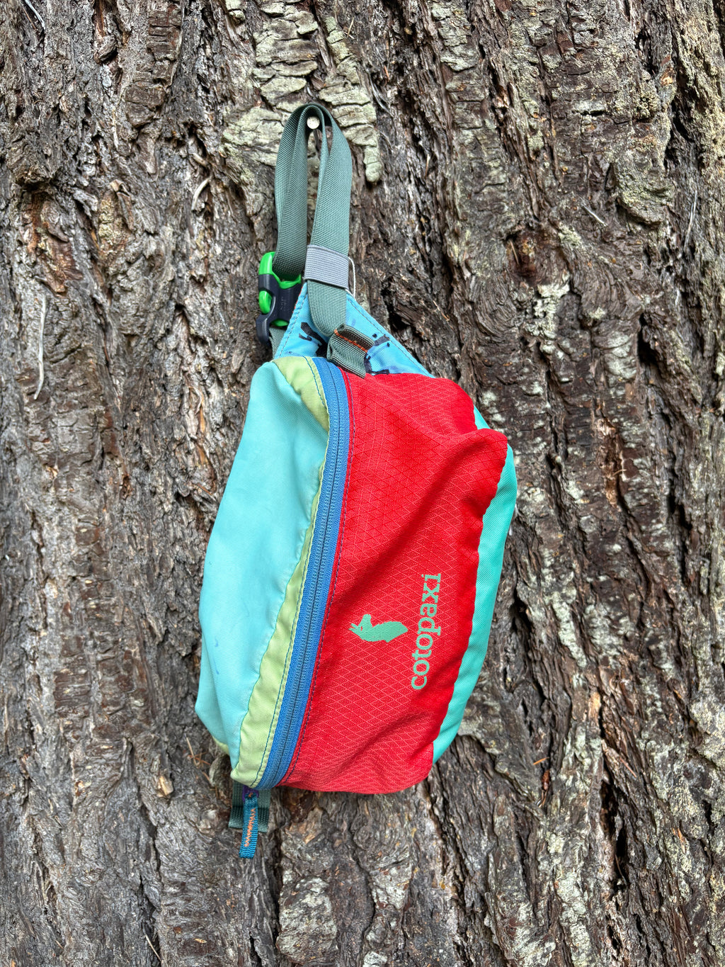 Cotopaxi Bataan Del Dia Fanny Pack (Multicolor, Onesize)