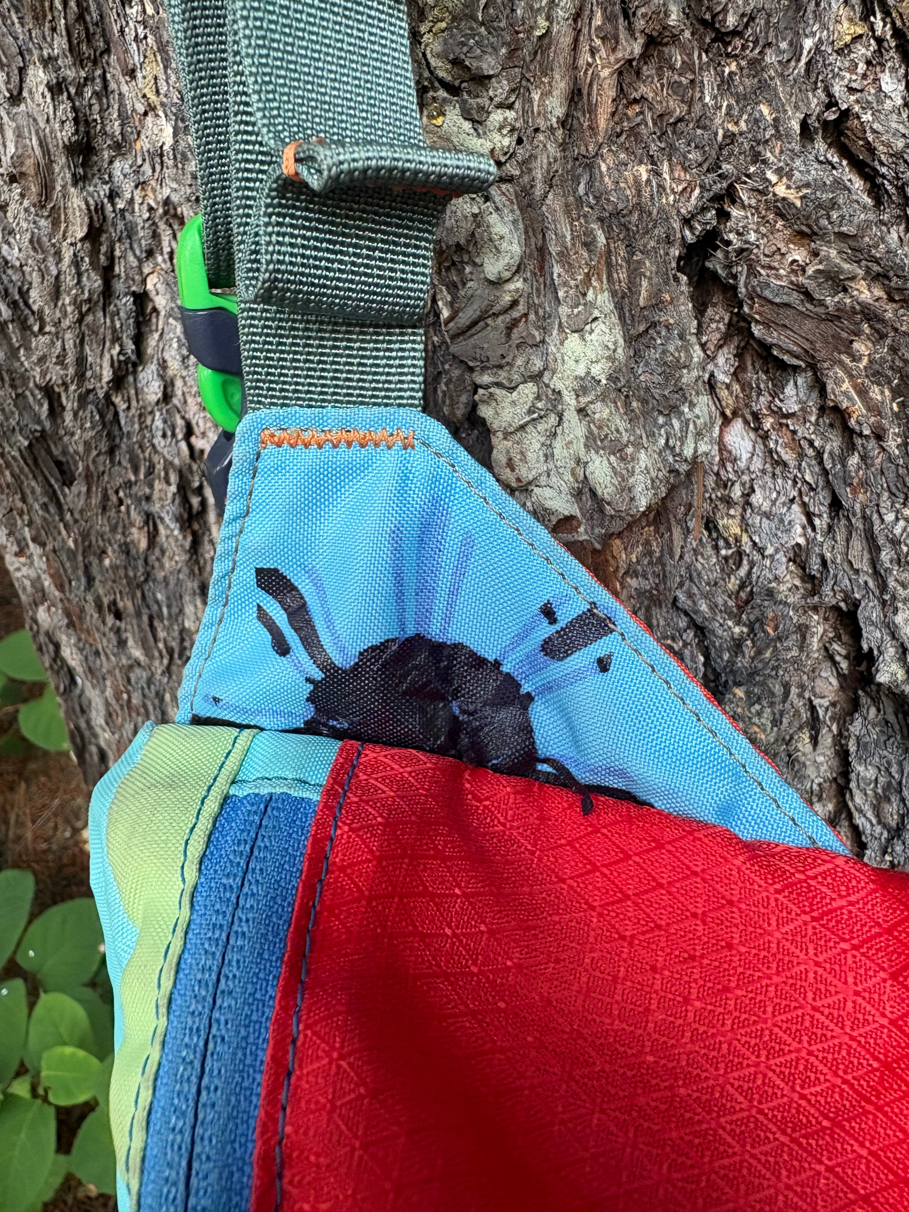 Cotopaxi Bataan Del Dia Fanny Pack (Multicolor, Onesize)