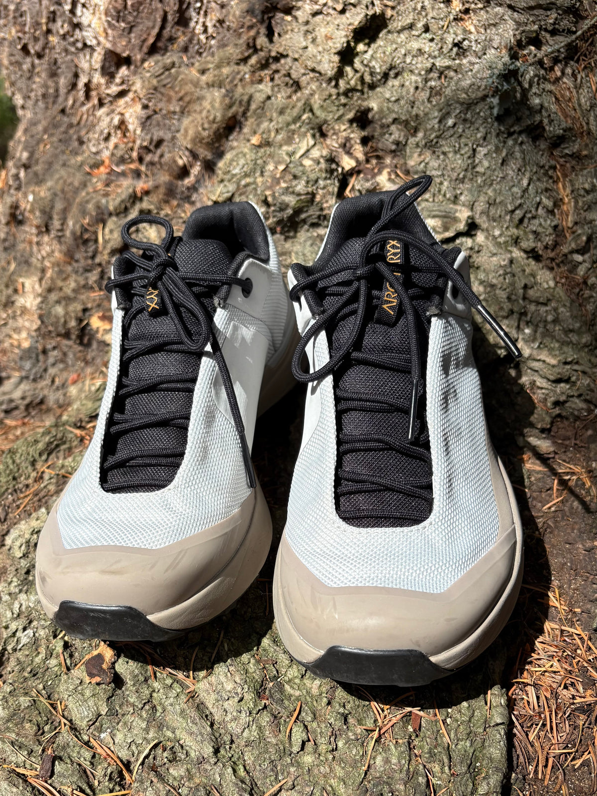 000019 - Arcteryx - Athletic Shoes - Image 1 circular-filename:24_08_2026_681101bf-32a8-4ef3-ad33-46d80240b376_captured_image